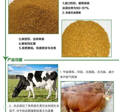 牛飼料 綠斯曼 4%肉牛預(yù)混料 催肥增重預(yù)混料 肉牛飼料