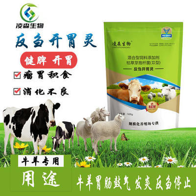飼料酵母粉 提升動物健康與生產性能的營養利器