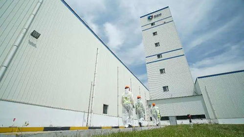 帝斯曼在飼料禁抗與新冠肺炎雙重挑戰下的創新應對策略