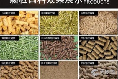 專業鑄就品質，服務深耕農業——四川省齊全飼料有限責任公司的發展之路