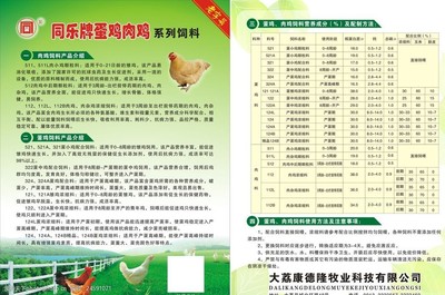 蛋雞與肉雞飼料 精準營養，高效養殖的關鍵