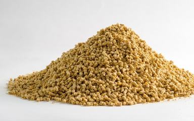 鴨子能否食用雞飼料？科學(xué)飼喂指南